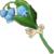 Blue Nightshade