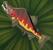 Hearty Salmon
