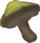 Toasty Stamella Shroom