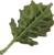 Korok Leaf