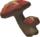 Toasty Hylian Shroom