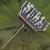 Wooden Mop